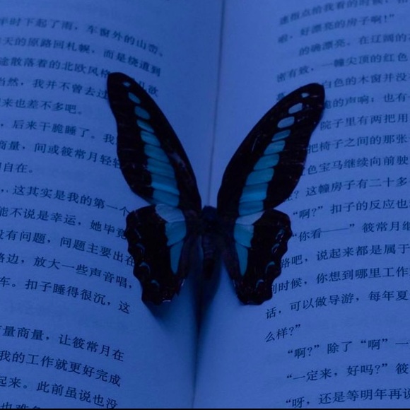 Meet your Posher, Lobna - Picture 1 of 1